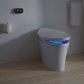 Kohler Veil Intelligent Wall Faced Toilet