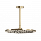 Waterware Scarab Rain Shower with Ceiling Arm Brushed Gold