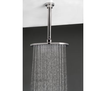 Kudos Shower Rose, Head Only