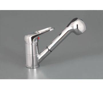 Eco-Smarte Sink Mixer with Pullout Spray